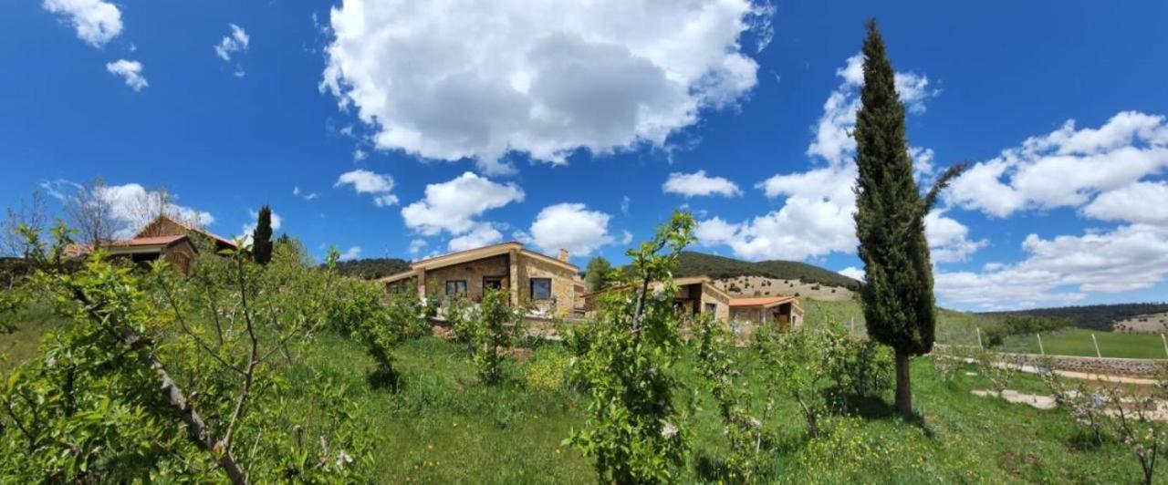 Chalets-Appartements Tourtite Ифран Екстериор снимка